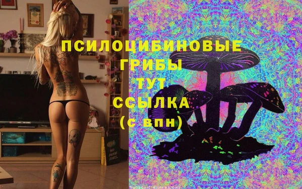 а пвп мука Новодвинск