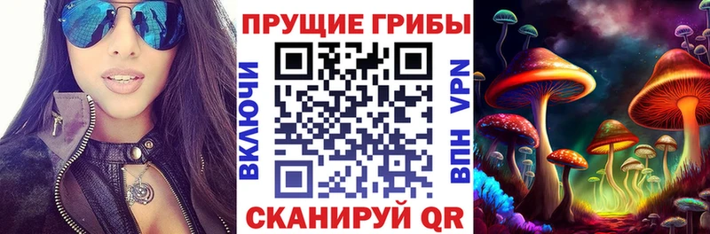 Галлюциногенные грибы прущие грибы  Александров 