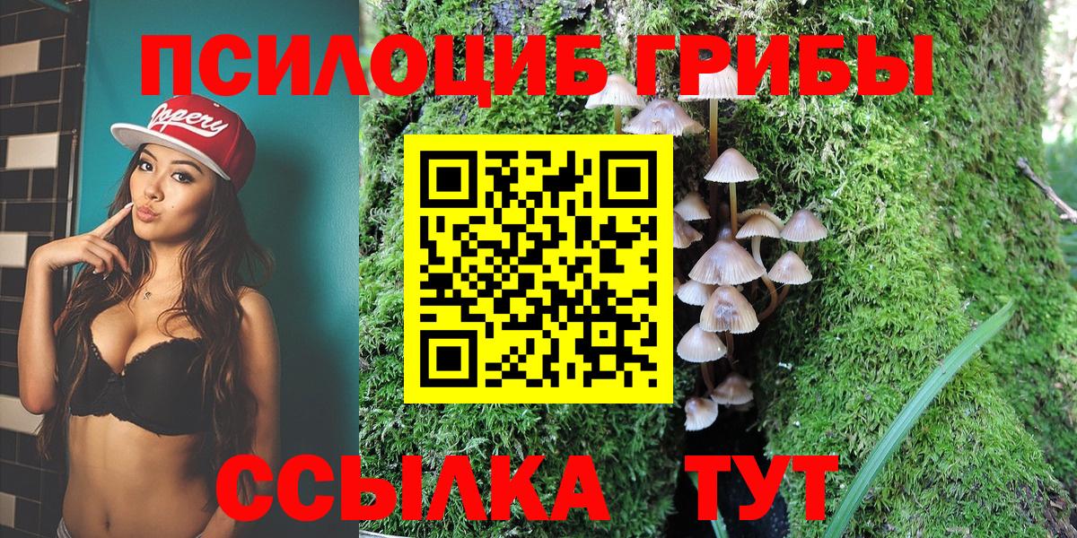 Галлюциногенные грибы Psilocybe  Псилоцибиновые грибы GOLDEN TEACHER  Александров 