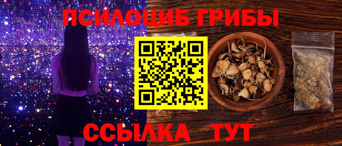 Галлюциногенные грибы MAGIC MUSHROOMS  Вход с VPN  Галлюциногенные грибы Psilocybine cubensis  Александров 